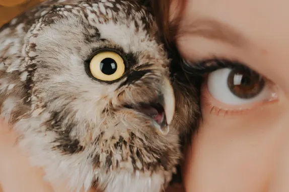 CasinoCasino Kasiino Tugi